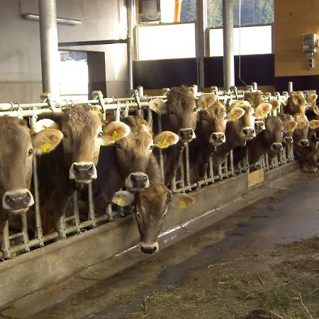 Bergbauernhof Weber *