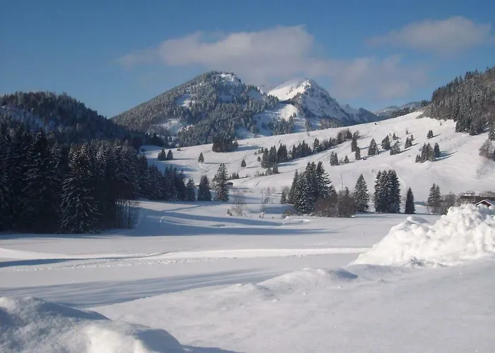 Bergbauernhof Weber Daire